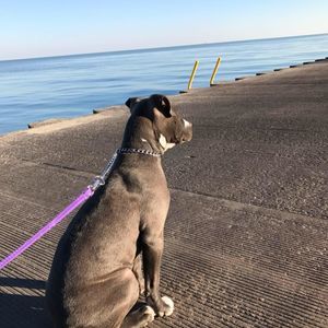 Meet your Posher, Mike